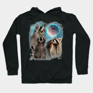 3 Racoon Moon Howling Raccoon Head Funny For Men, Women Hoodie